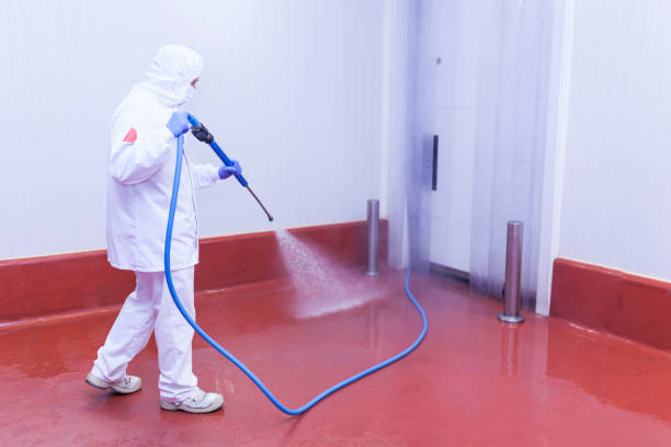 Best Pool Deck Cleaning  in Hrisburg, AR